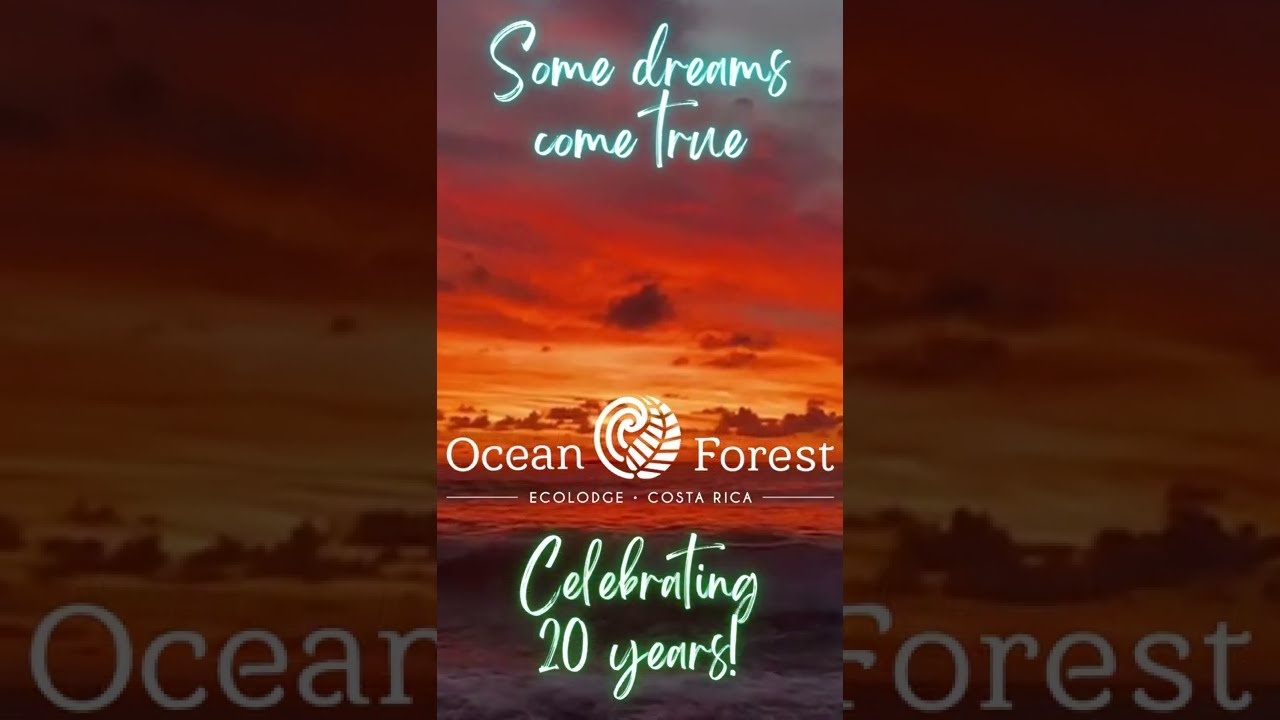 Celebrating the 20th anniversary of Ocean Forest Ecolodge