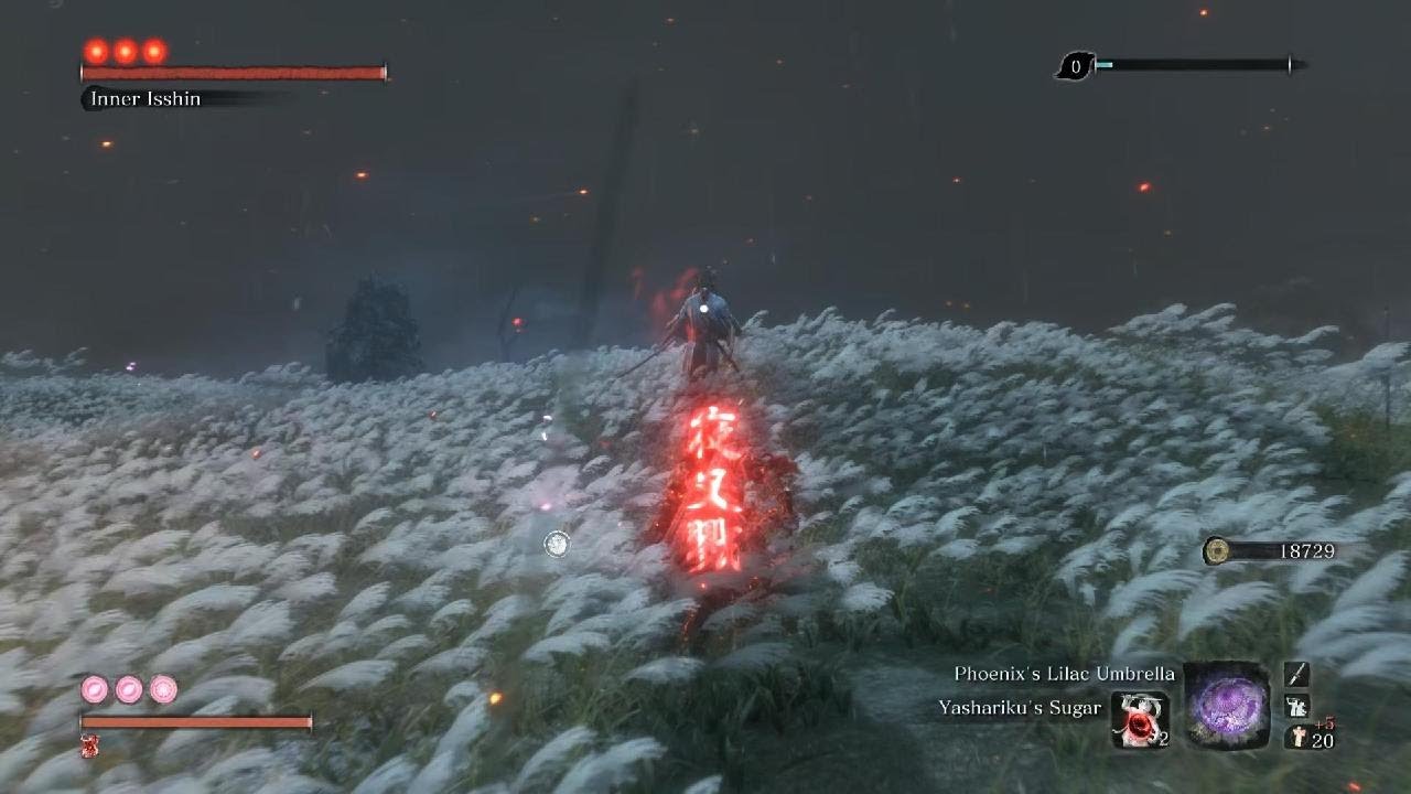Sekiro - Isshin Burns