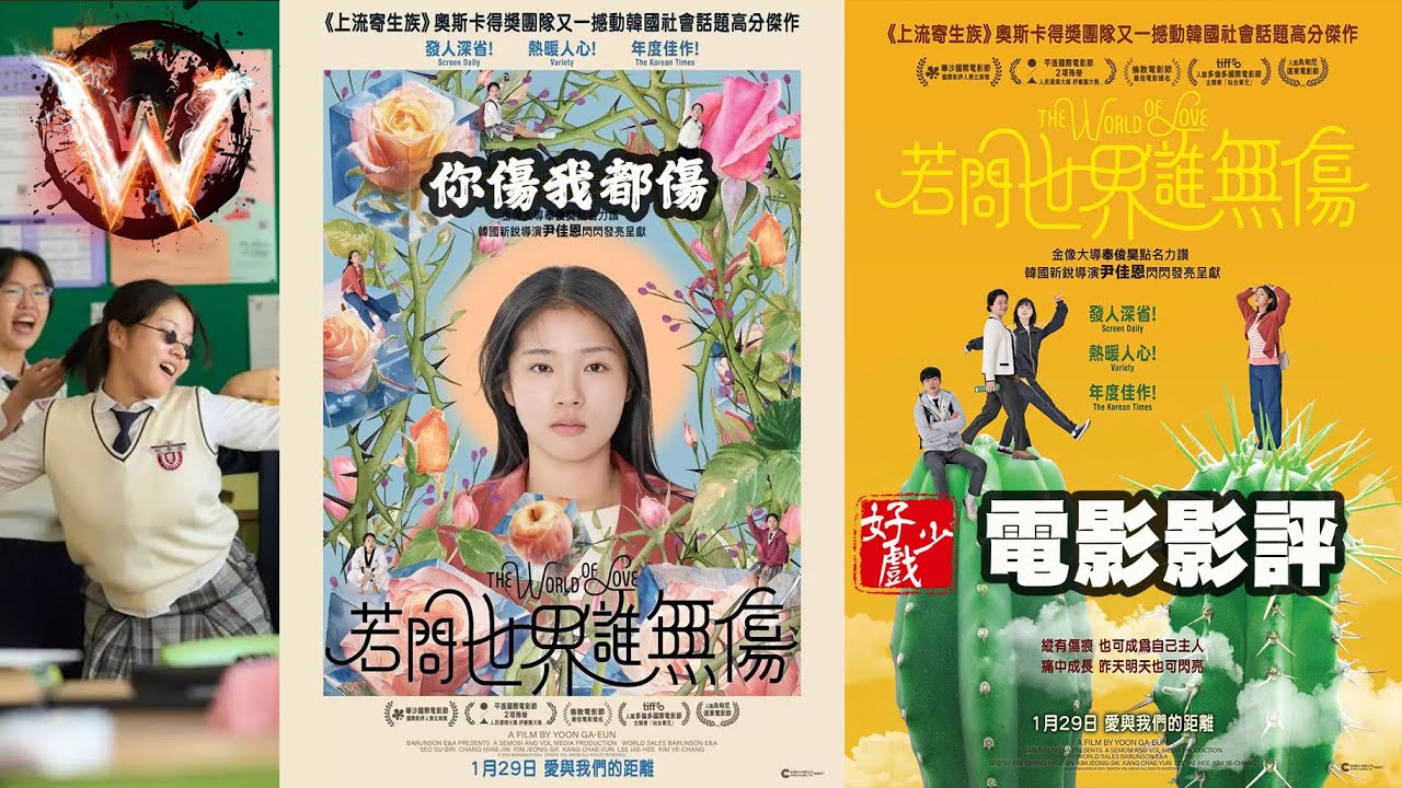 若問世界誰無傷 The World Of Love 情感描述細膩 女性角度 演員演技滿分