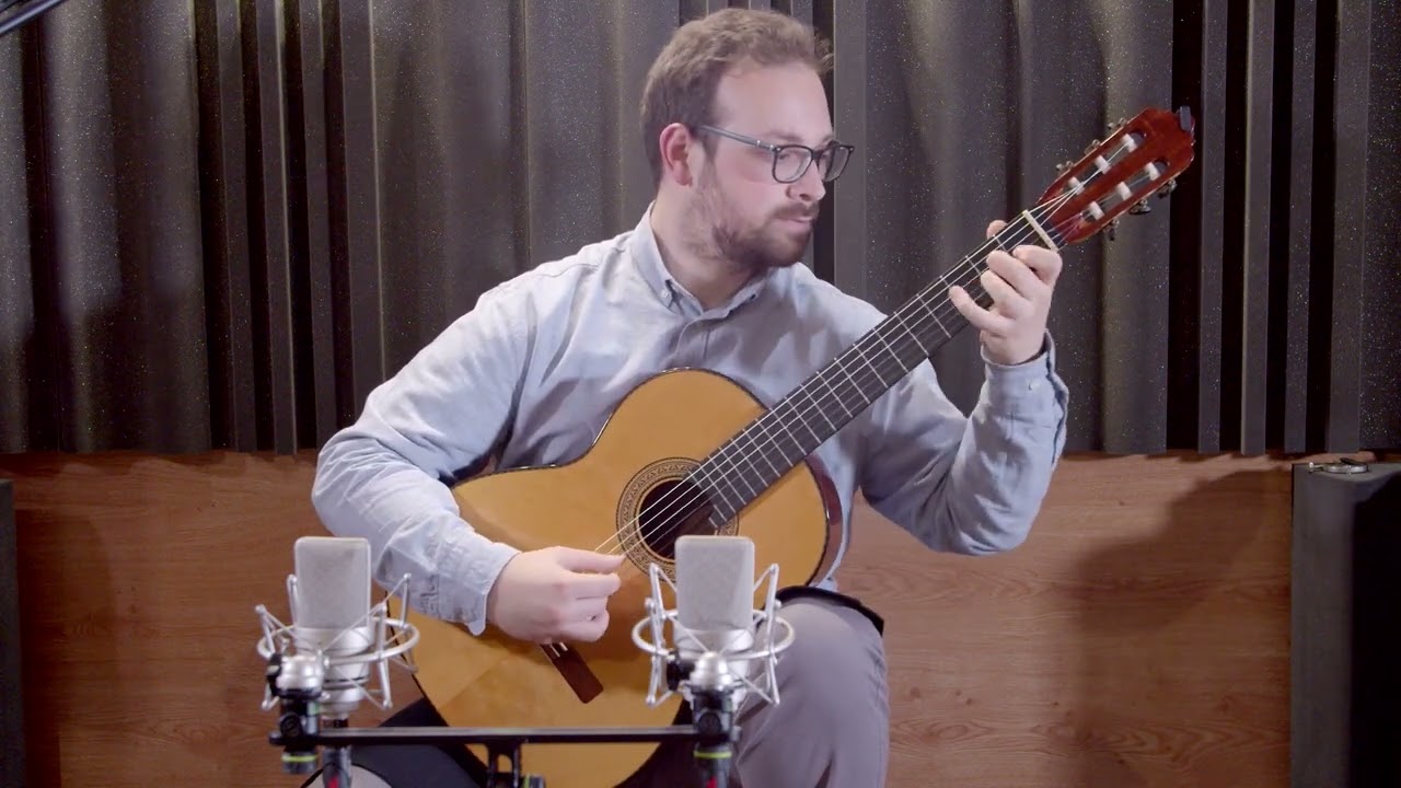 Michele Di Filippo plays music by Telemann and Castelnuovo-Tedesco (Concorso Corrado Albo IV ed.)
