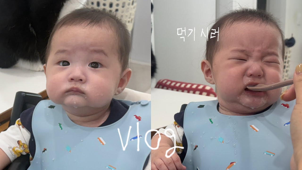 [VLOG] 육아 브이로그 | 5개월 이유식 시작🥣 | 이유식 거부 아기 | 이유식 현실 | 육아 24시 