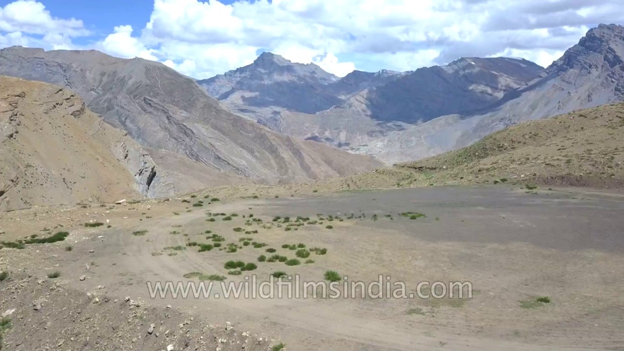 Demul Khas Village in Spiti is remote but prosperous: aerial view of greenery in a brown landscape