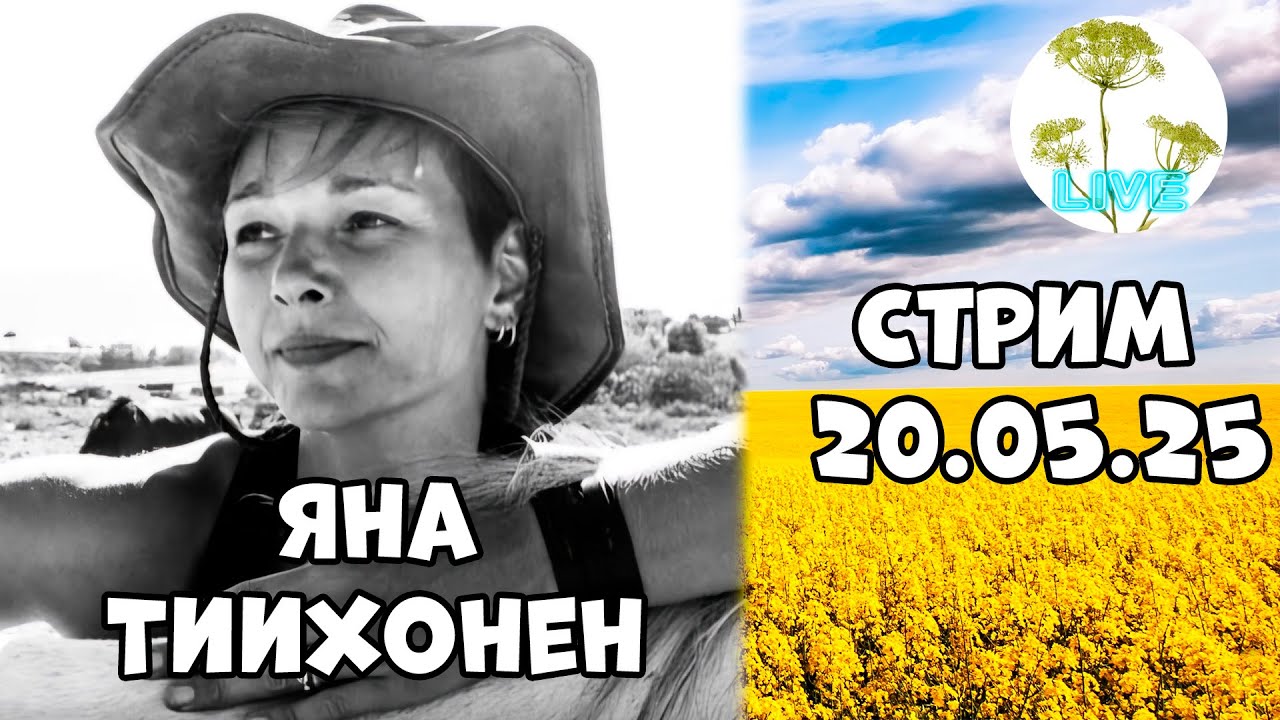 Яна Тиихонен карельская активистка, руководитель финно-угорской правозащитной организации Ранта.