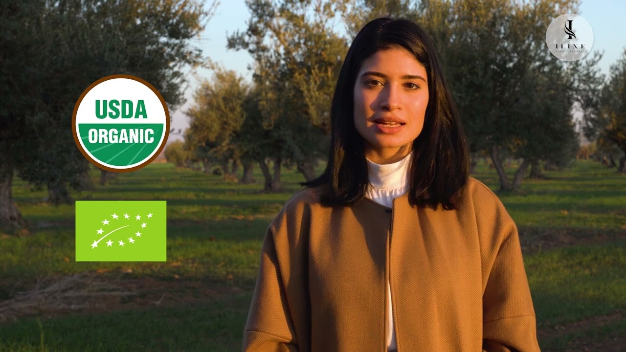 Discover our olive oil plantation