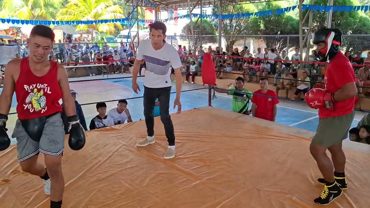 Noel Sacnahon vs. Pitbull ng kibawe