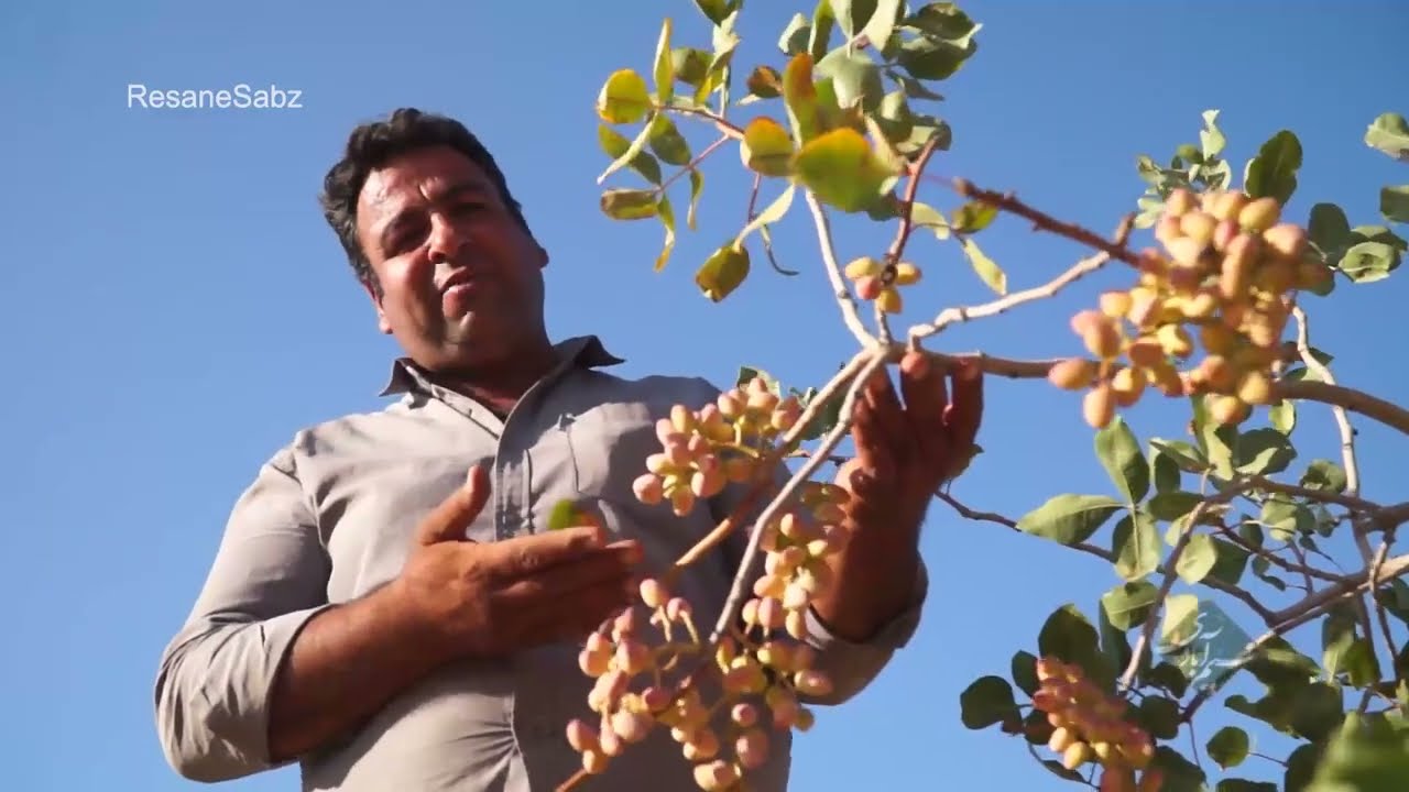 نسیم آبادی - روستای میامی، مشهد
