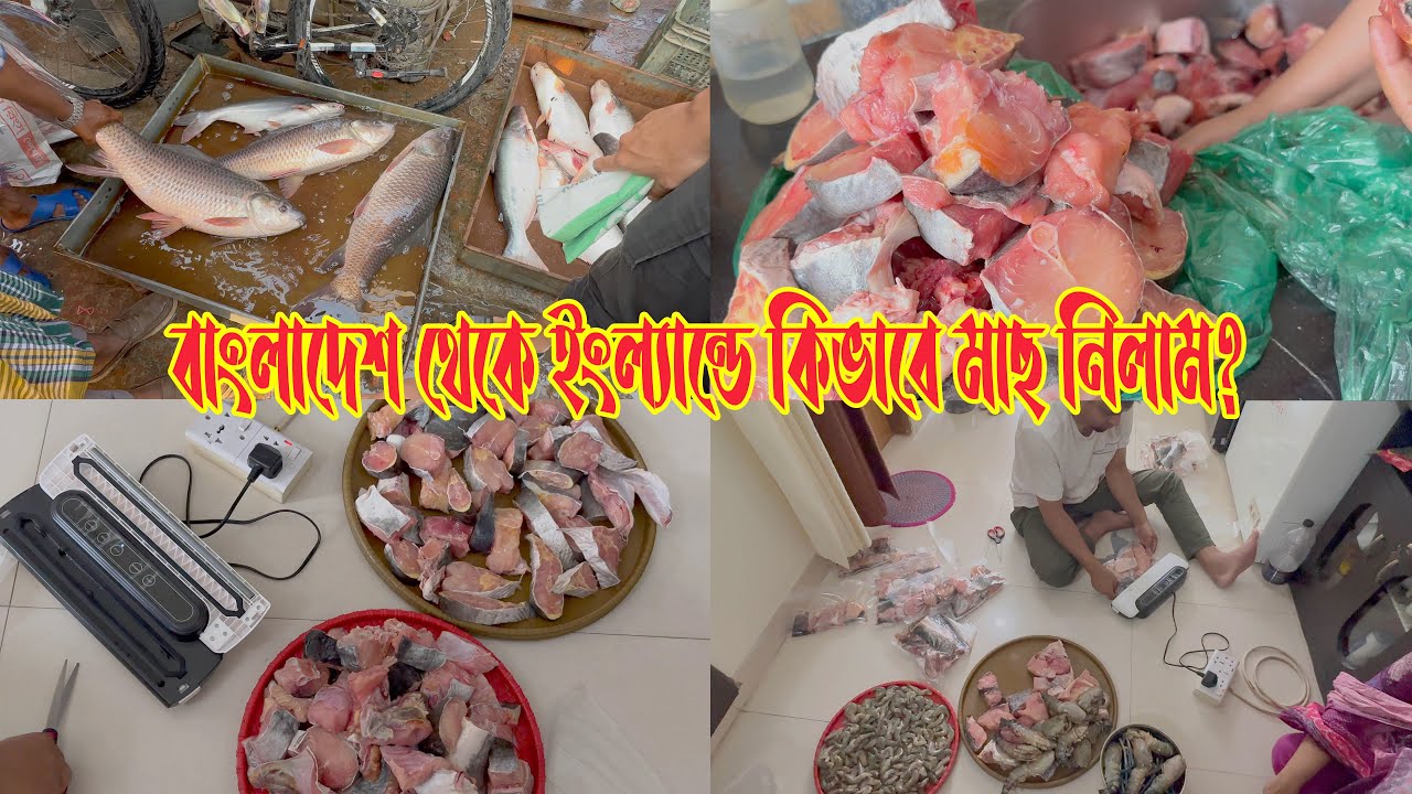 কিভাবে এতো ফ্রোজেন মাছ বাংলাদেশ থেকে ইংল্যান্ডে আনলাম?