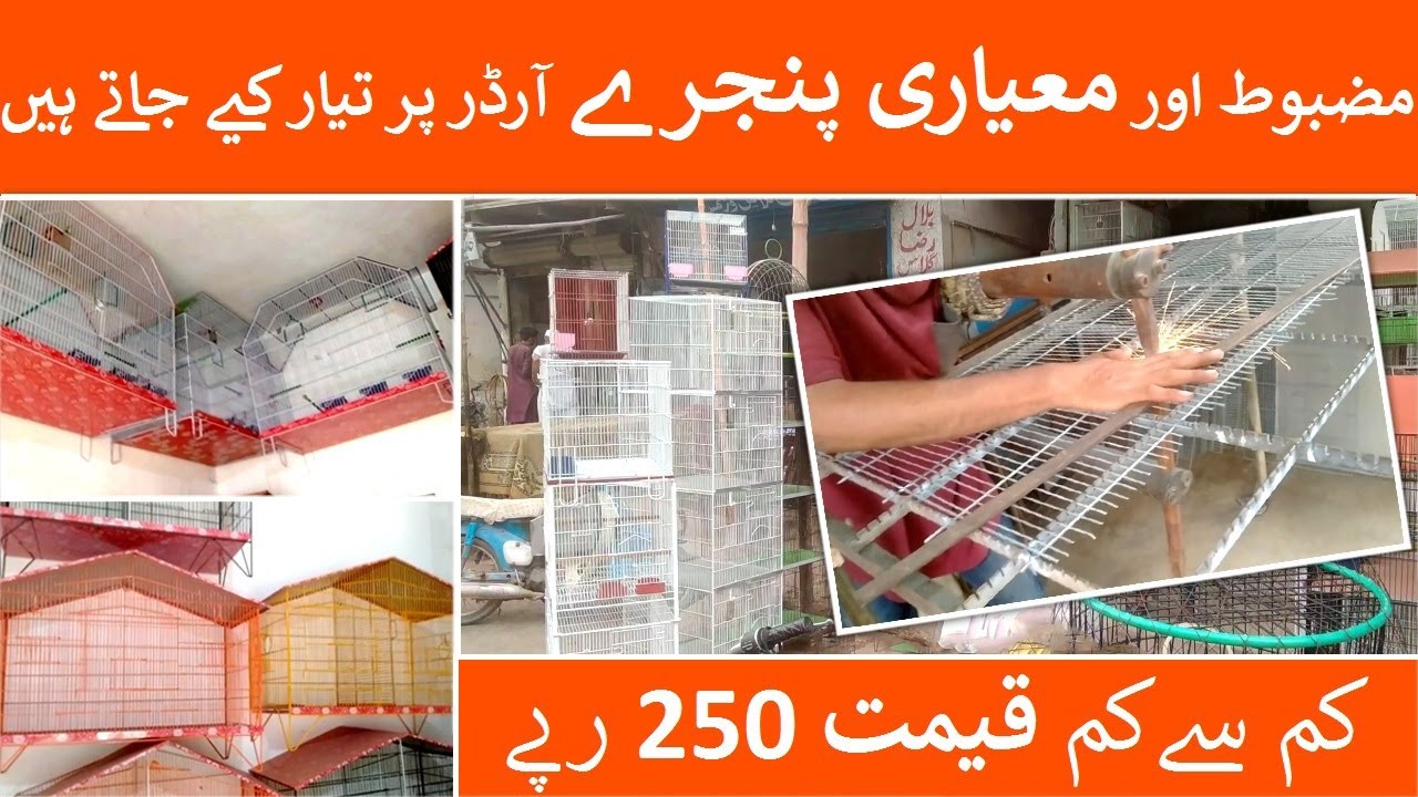New Cage's Price Update 2023 | Best Cage Wholesaler in Karachi | Cage Shop in Karachi