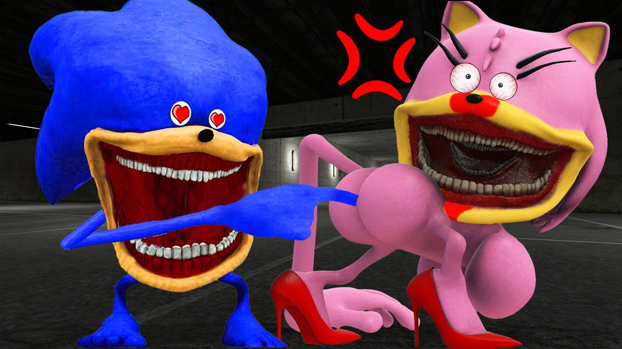 WHAT HAPPENS WHEN SHIN SONIC TAPES PRANKS SONIC AMY XXL TAPES LOVE IN GARRYS MOD!