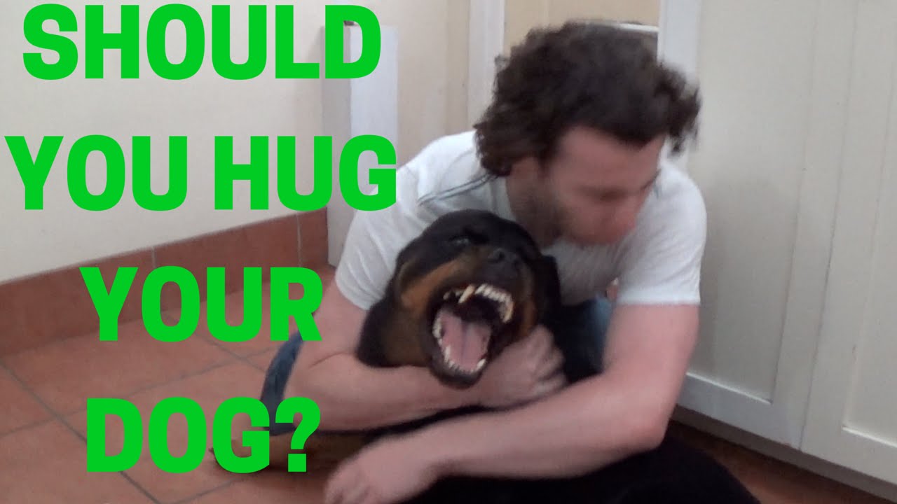 Ask A Professional Dog Trainer: Should You Hug Your Dog? Do Dogs Like Being Hugged?