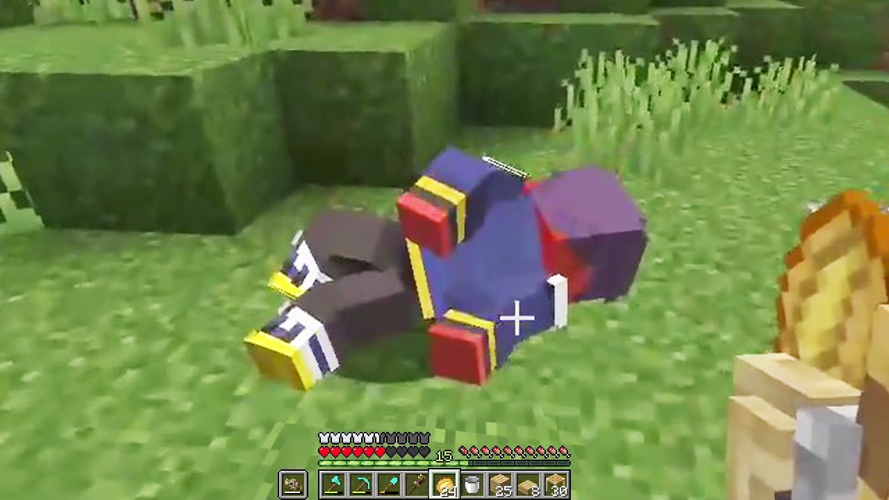 Insane minecraft emotes