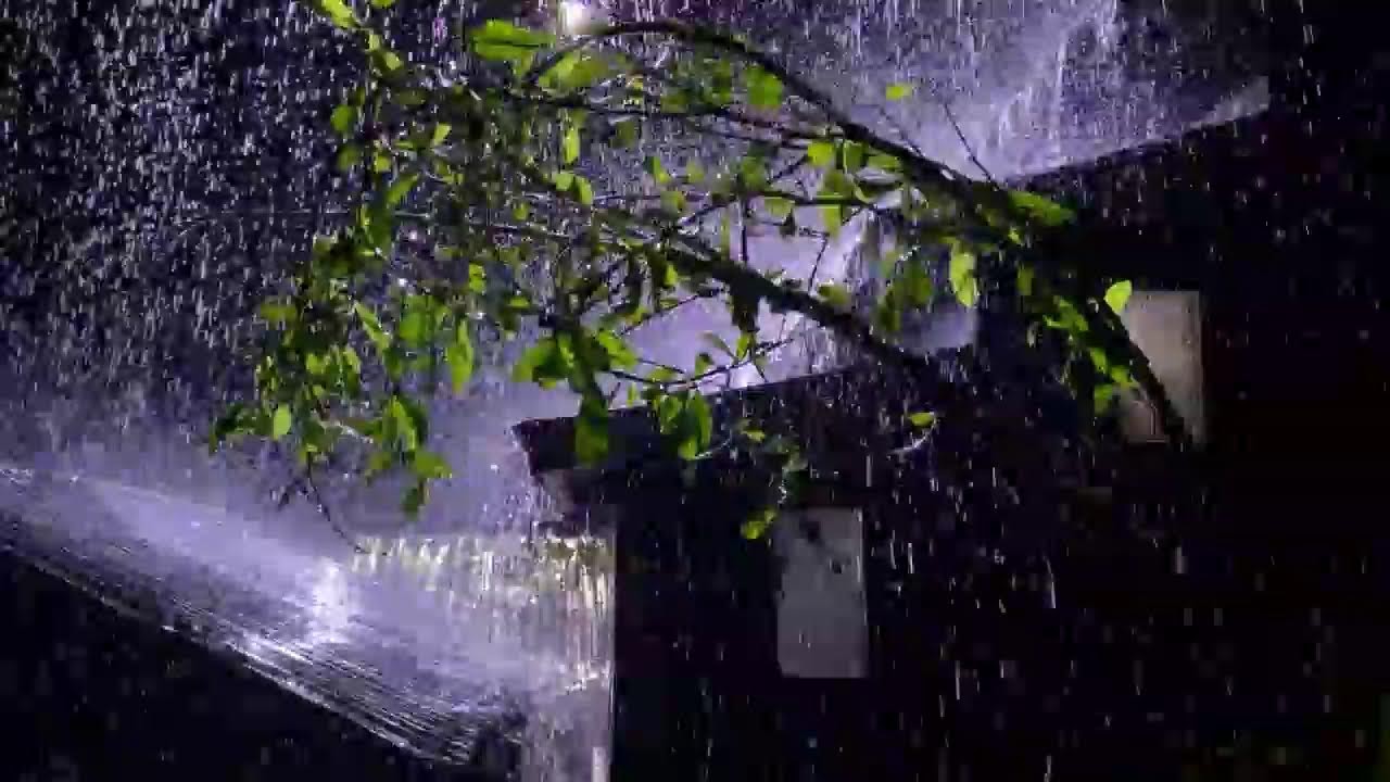 Deep Sleep Rain 🌙 Heavy Rain Falling on Tin Roof