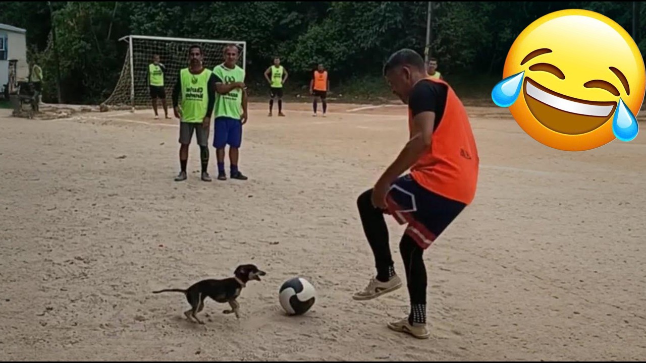 Football Best Funny Moments | Comedy Compilation #35