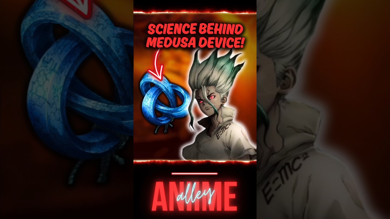 #drstone