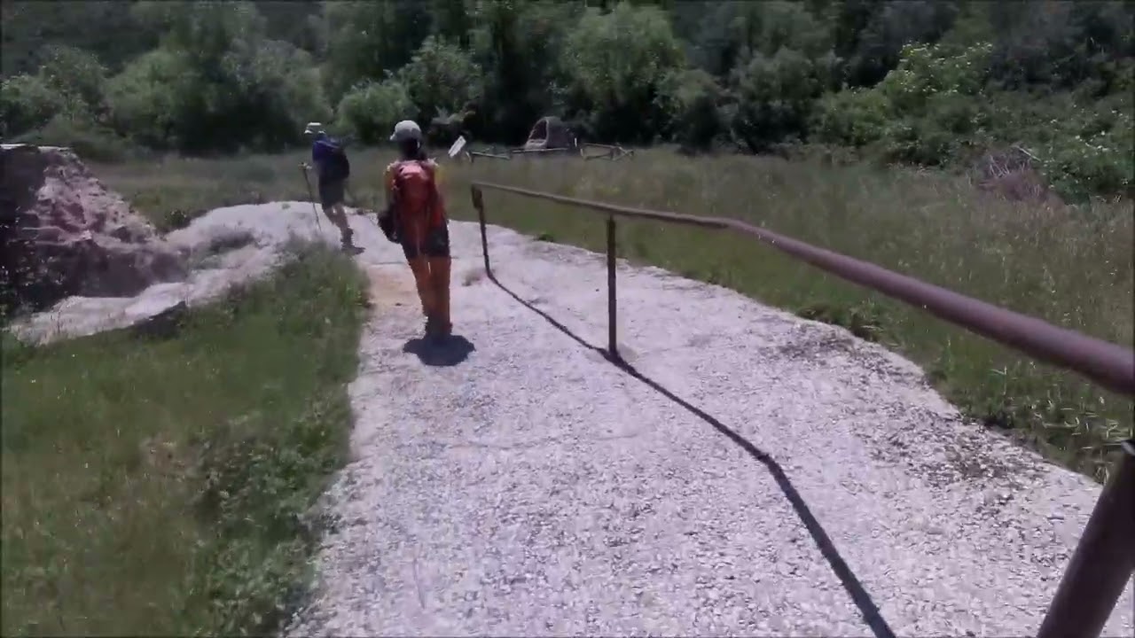 4. MUSEO DE LAS FORMAS DE VIDA EN EL PASADO