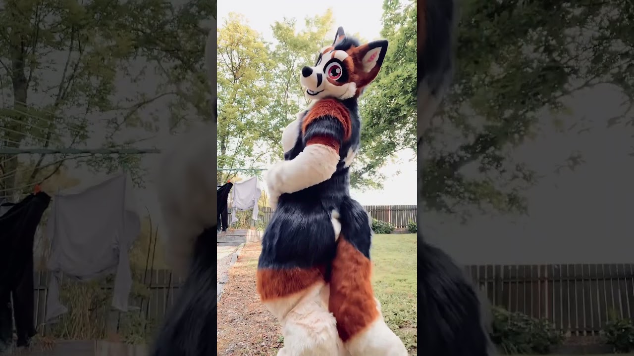 My gorgeous Riley brought to life&hellip; isn&rsquo;t she cute? &hearts;️ #fursuit by @8BitWorks