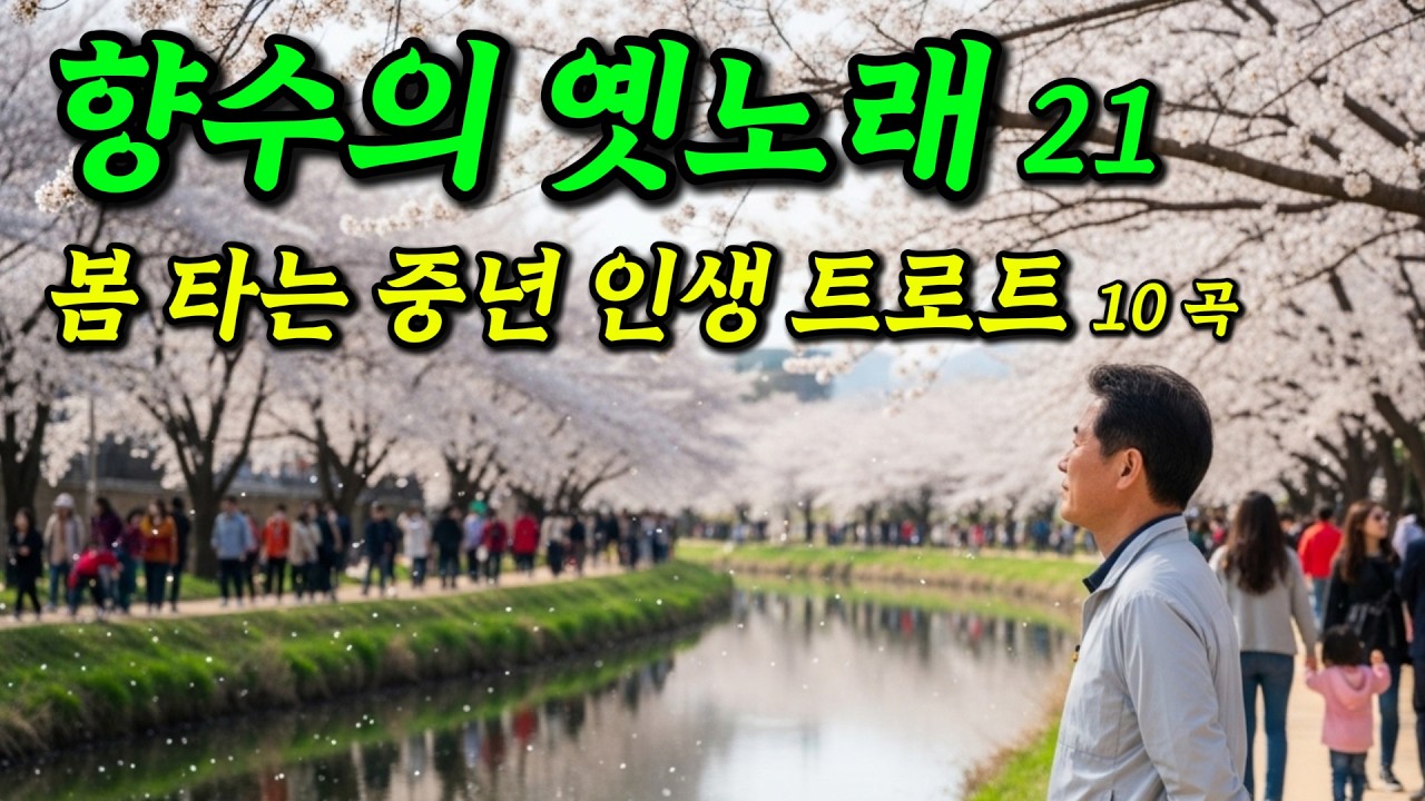 향수의 옛 노래 21/눈물 젖은 중년 인생 트로트 10곡