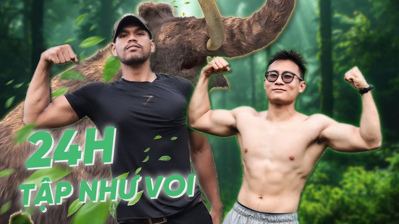 24h Trải nghiệm cuộc sống của Voi Đắk Lắk (Ăn, Tập, Lên Rẫy) | THẾ DÂN