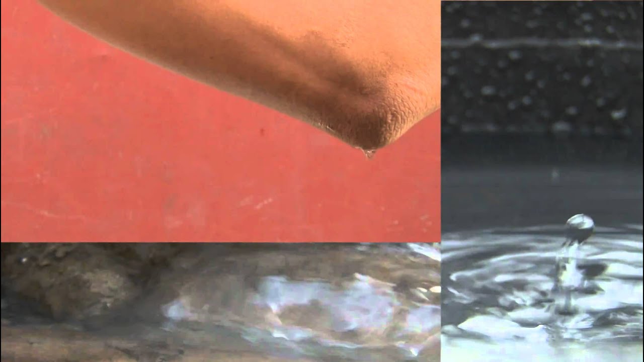 Video Art - The Waste Symphony, Opus 7