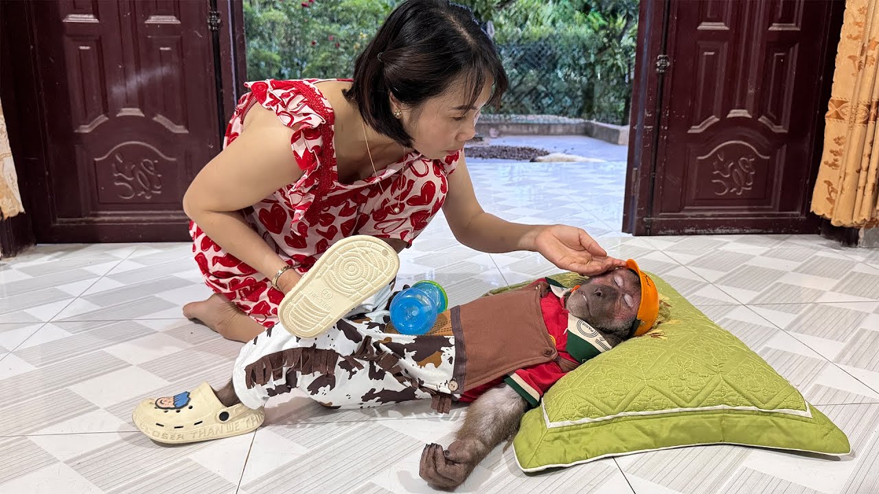 OMG! Mom Was Horrified to See Abu Motionless on the Floor