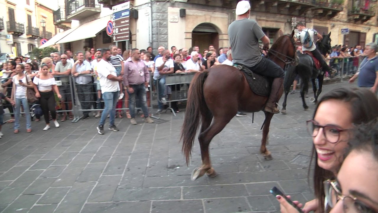 MISTRETTA - SAN SEBASTIANO - IPPOVIA -2019