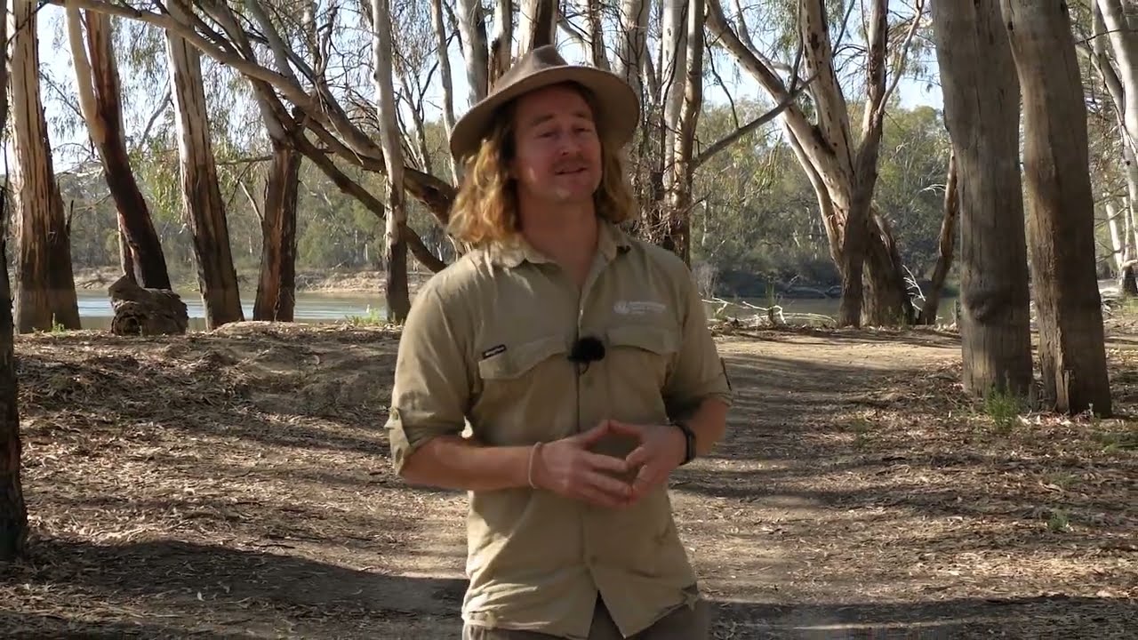 Let it Flow - Katarapko River Detectives Trail