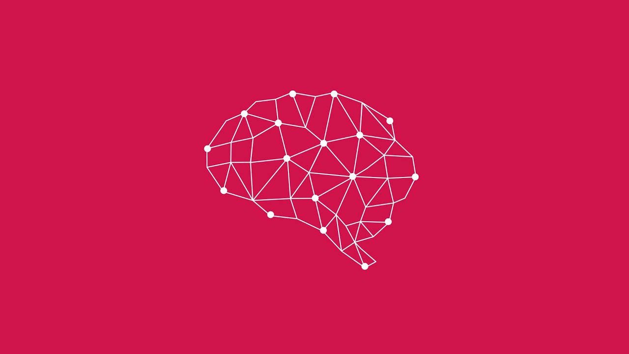 Cambridge Analytica - What We Do