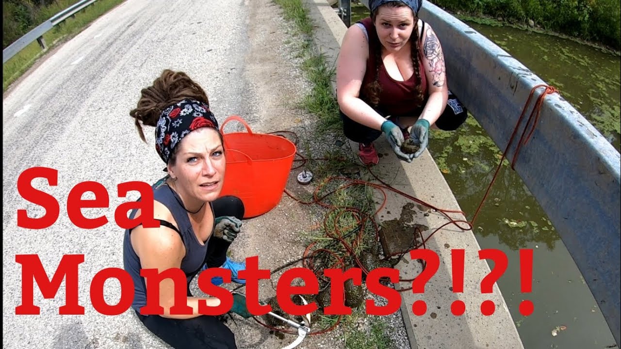 We found sea monsters while magnet fishing!?!?!?