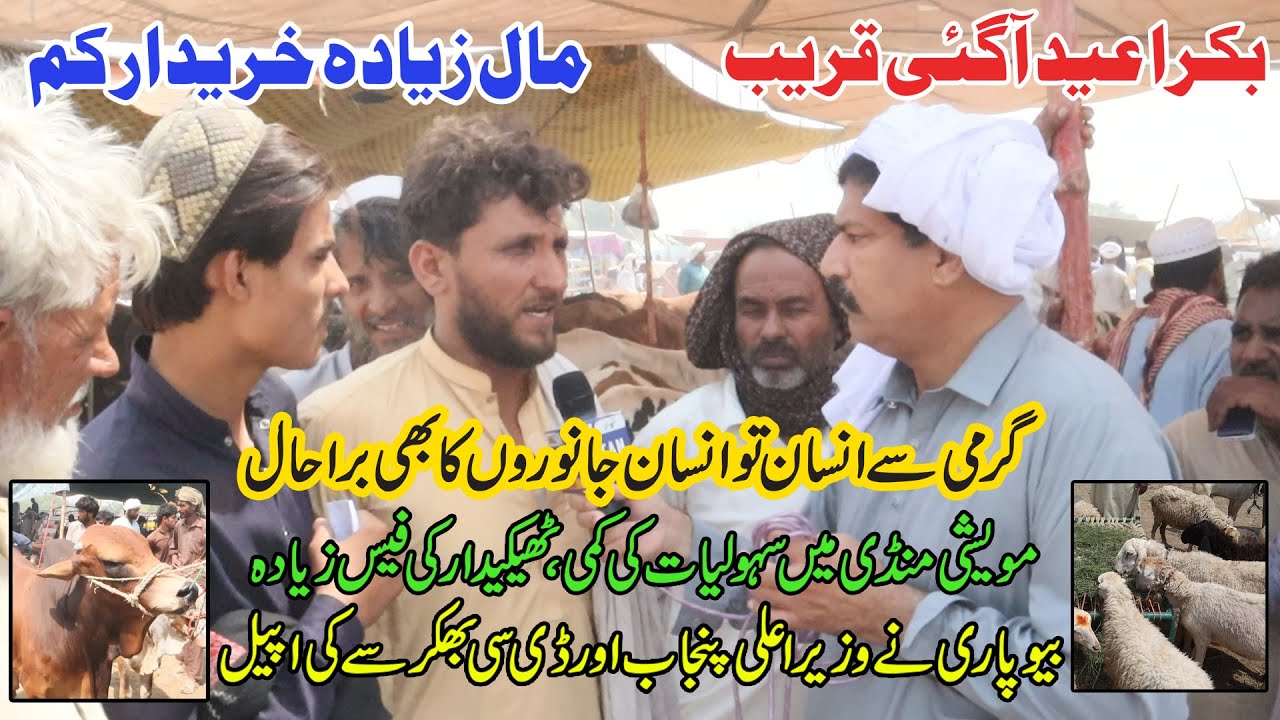 Maal Mandi Men Sahuliyat Ki Kami Thekedar Ki Fees Ziada | Awaz-E-Watana Network