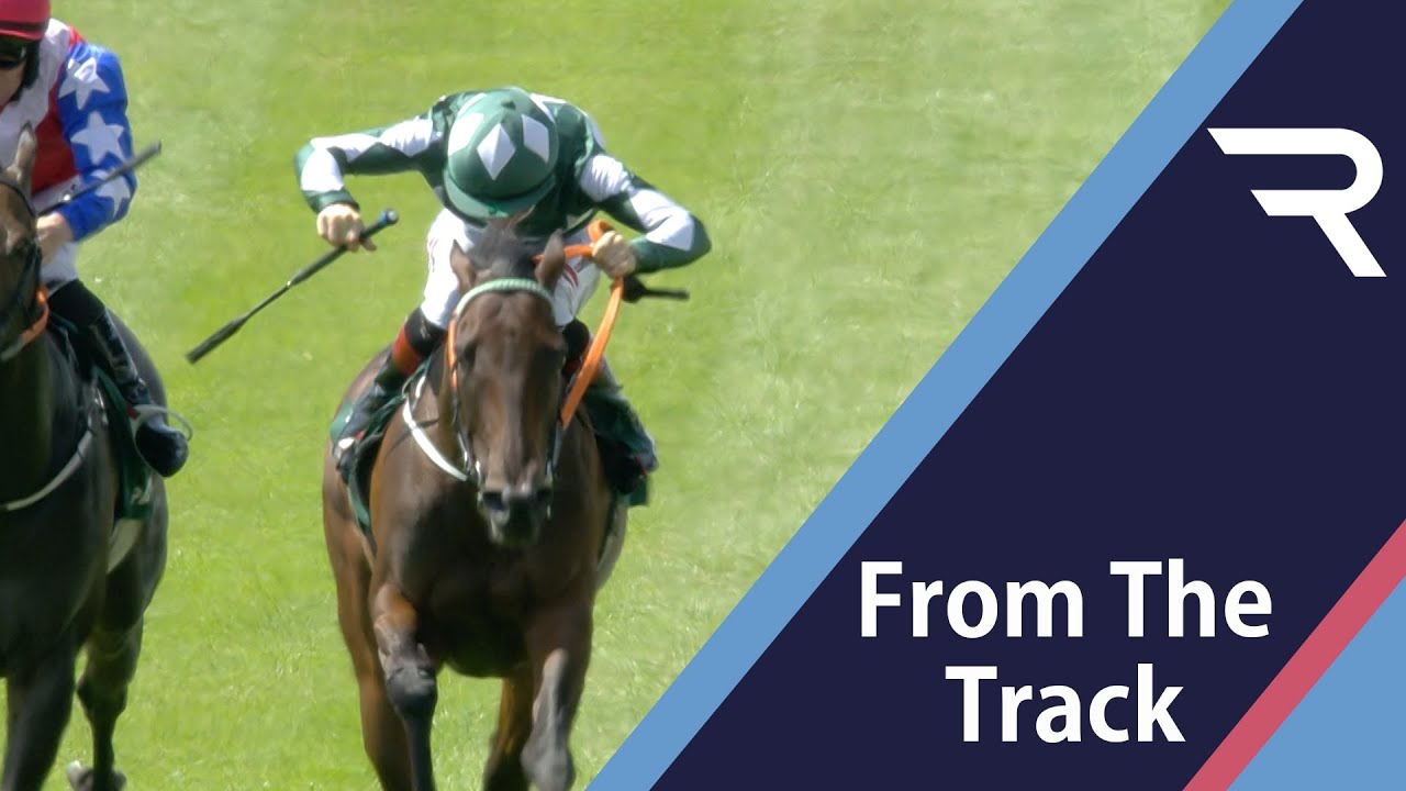 Mooneista: Paddy Power Sapphire Stakes | Racing TV