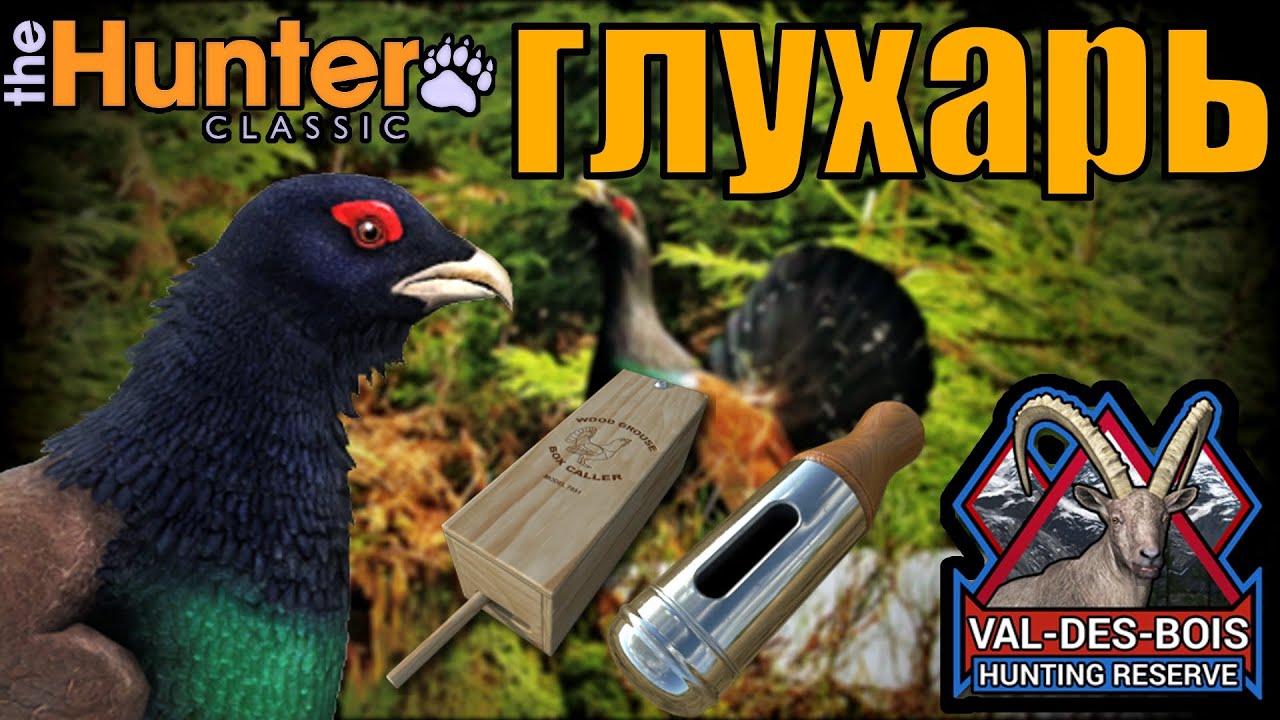 Утренняя и Душевная Oхота на Глухаря The hunter classic