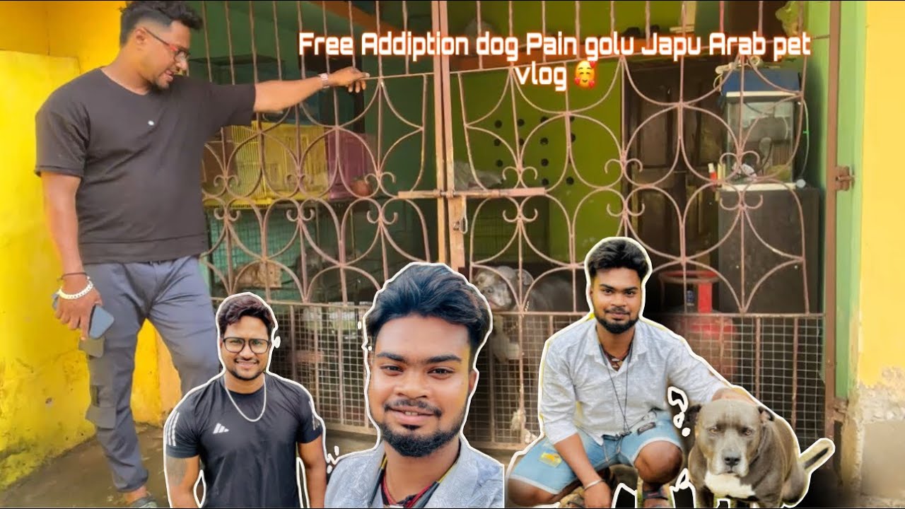 JAPU ARAB PET VLOG ଘରକୁ 🥀GOLU FREE ADDAPTION 🫵🏻DOG ଆନିବାକୁ 🥰