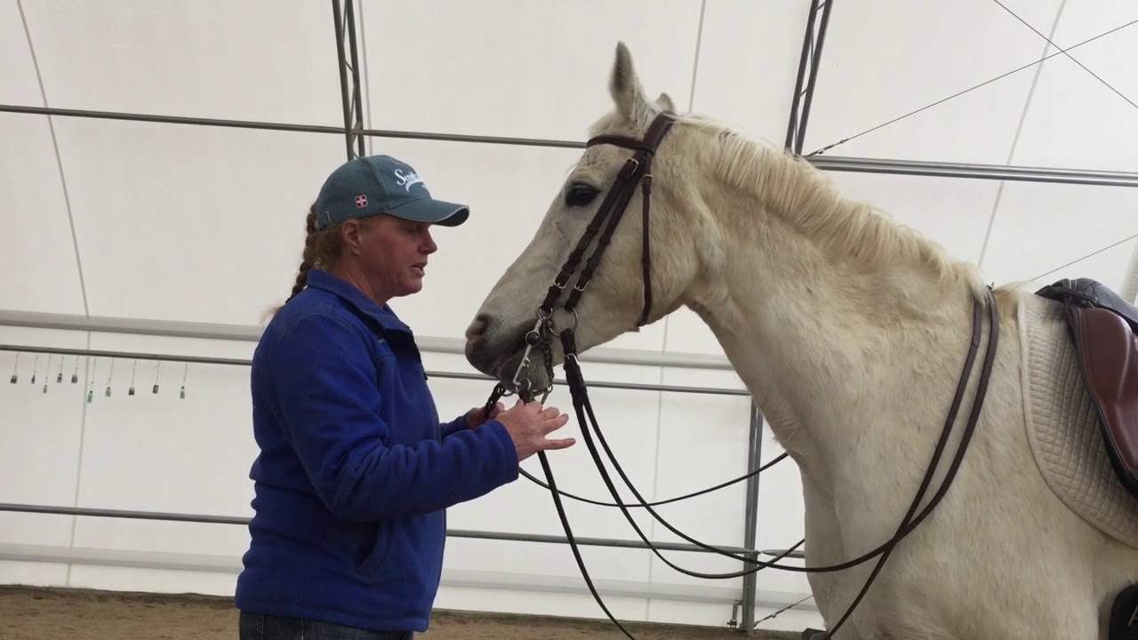 Double Bridles 2