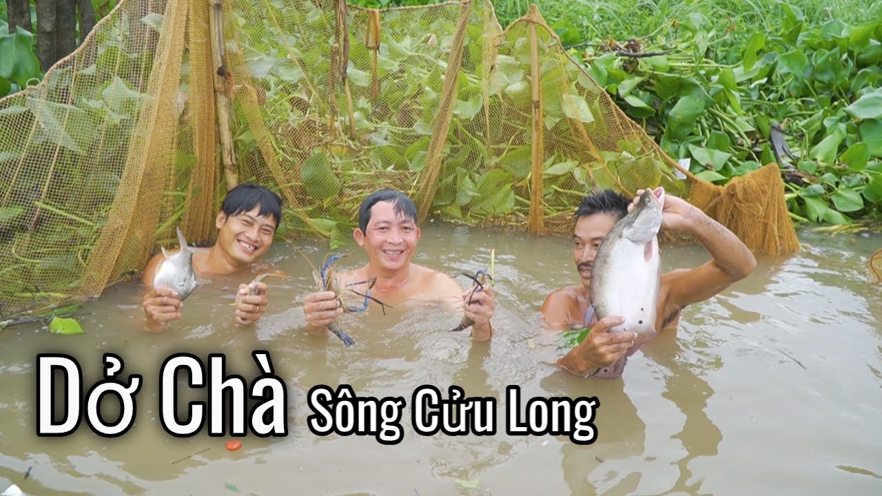 Dở Chà Bắt Cá Chạch Lấu Khủng ven Sông Mê Kông | Nét Quê #248
