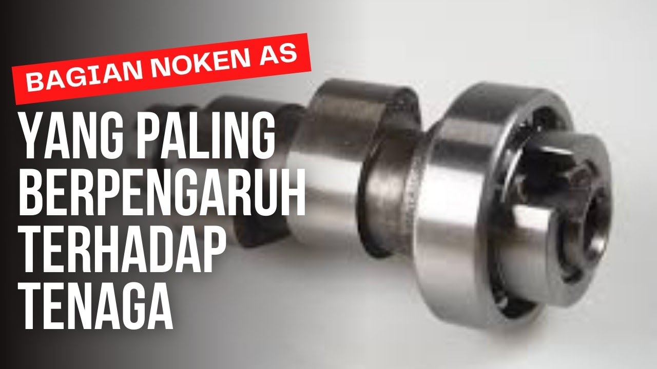 Bagian Paling Berpengaruh Pada Noken As.