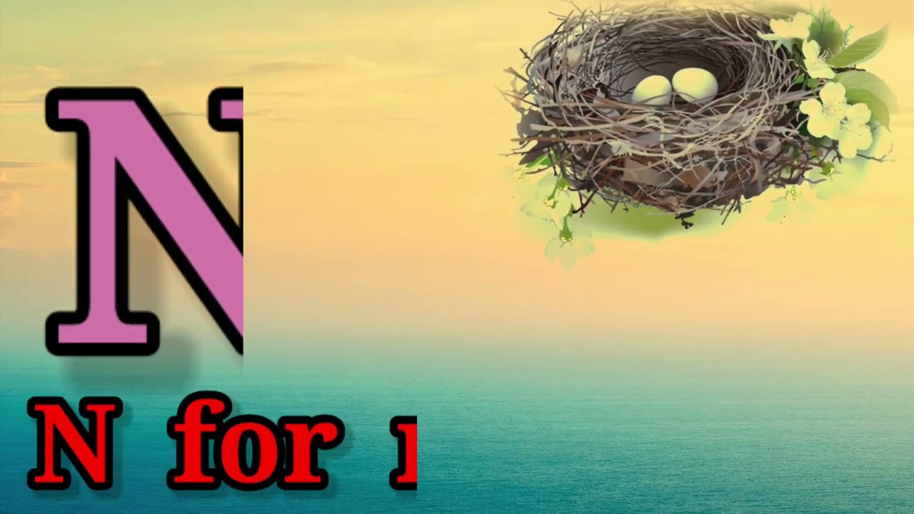 A B C D. Alphabet letter Video KIDS PK🚴