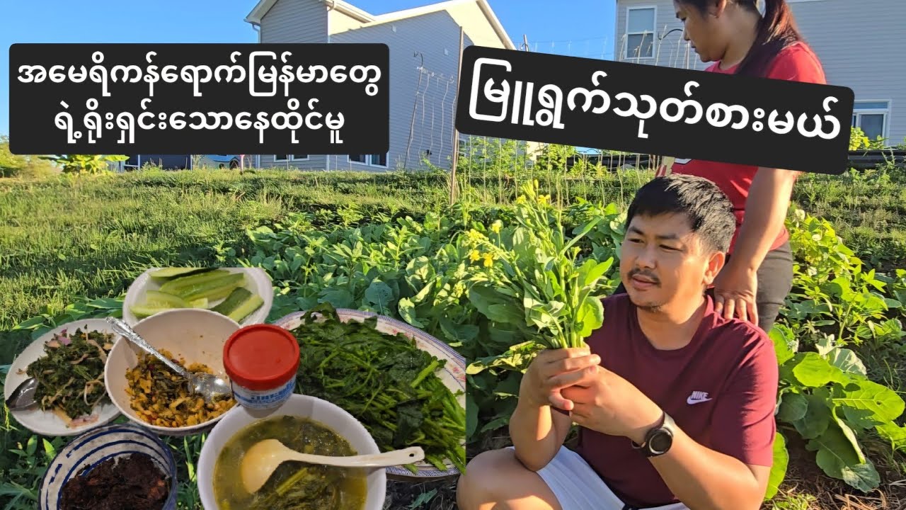 အမေရိကန်ရောက်မြန်မာတို့ရဲ့ရိုးရှင်းသောနေထိုင်မူ_မြူရွက်သုတ်စားမယ် Farm to Table