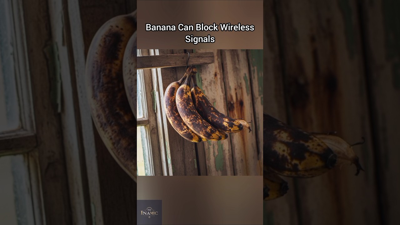 Banana Can Block Wi-Fi Signals? 🍌📶 Shocking Science Fact.