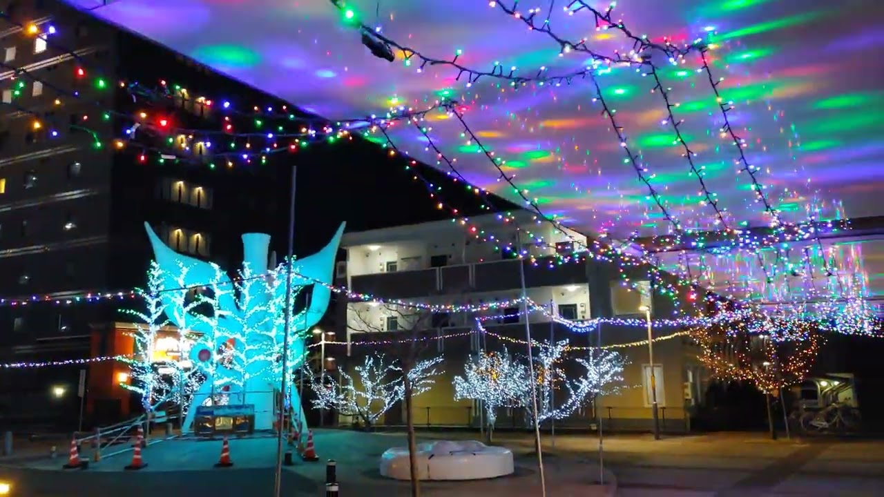 つくばエクスプレス　TX万博記念公園駅　イルミネーション