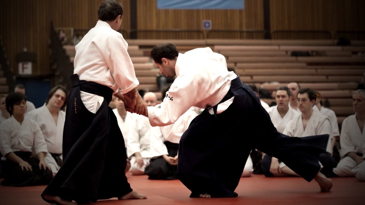 Aikido: Christian Tissier UK 2009, Nikyo, Sankyo, Shiho nage