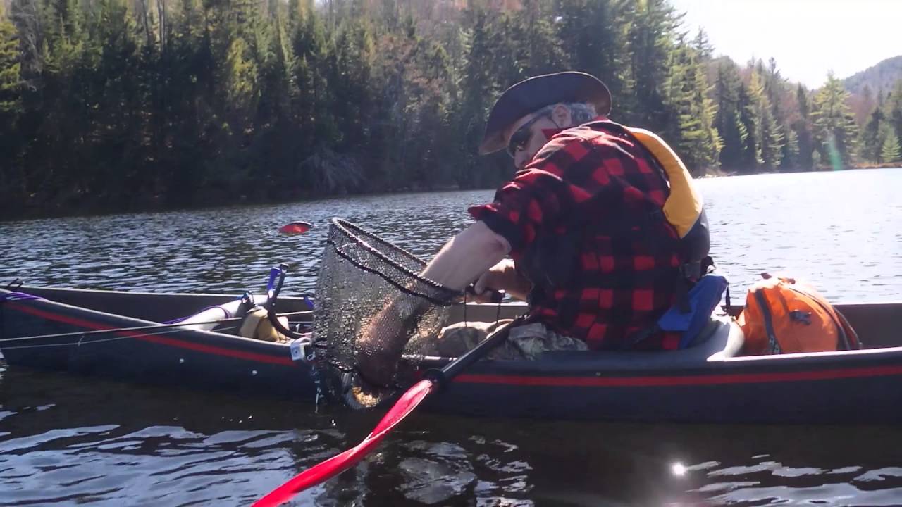 Adirondack Pond Hopping for the elusive Salvelinus fontinalis