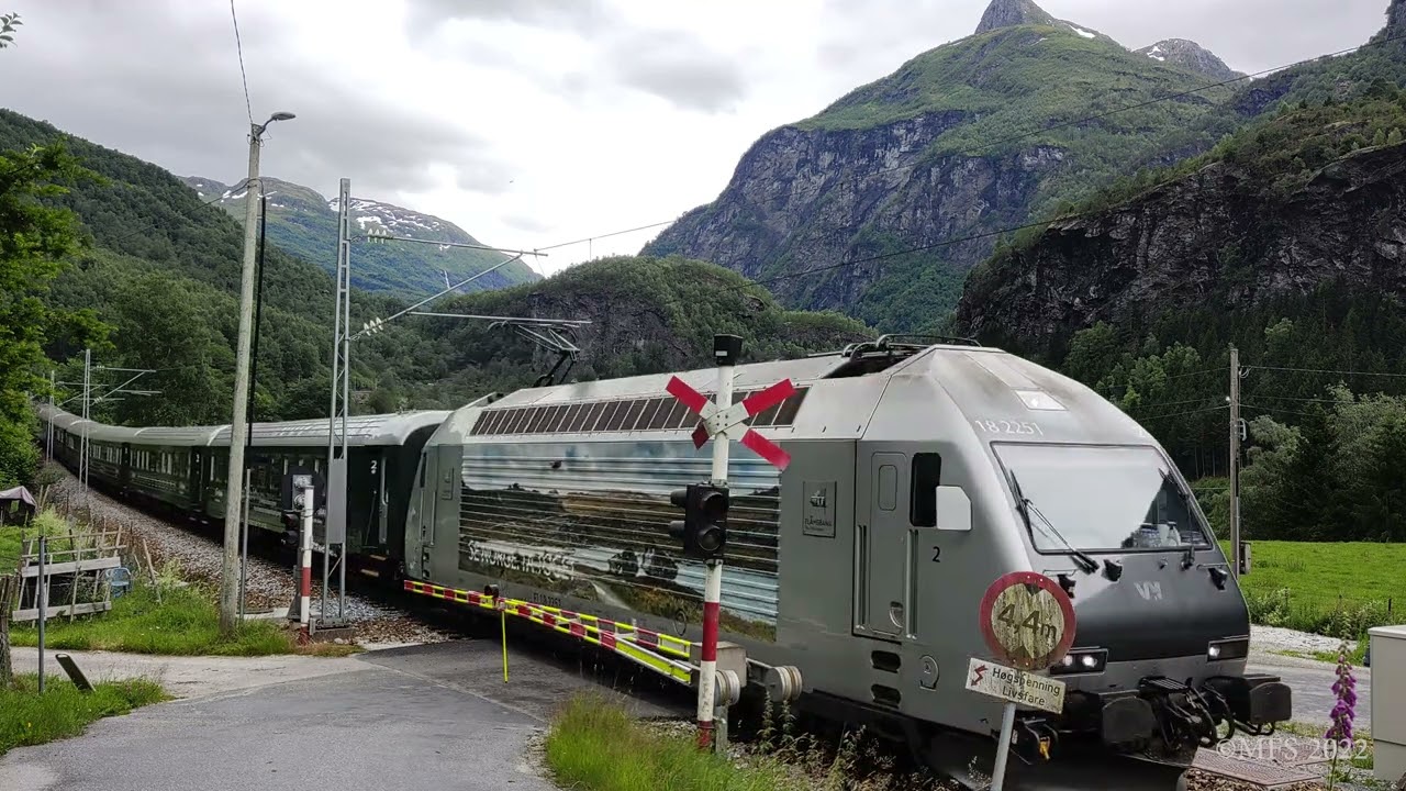 Planovergang Fl&aring;m - H&aring;reina stasjon (5.7.2022) (Norwegian railroad crossing)[4K]