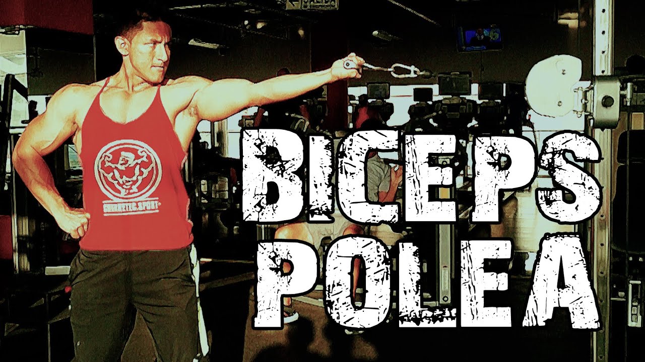 BICEPS CON POLEA. Cómo Desarrollar Más Tus Biceps con la Polea