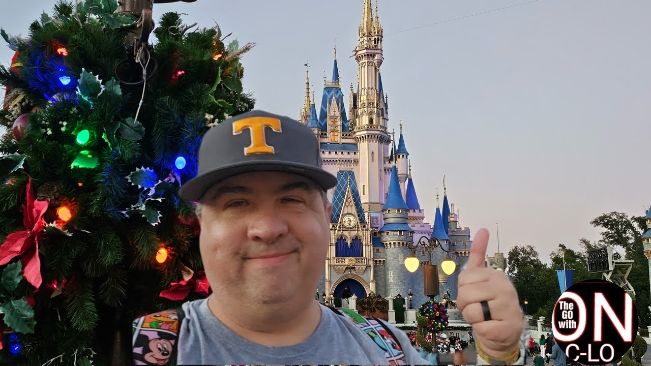 Ранним утром переезд в Орландо. Посещение 4 парков Disney World в рождественское время. Аттракцио...