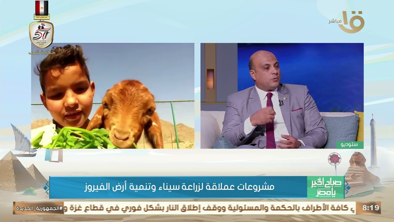 أفضل الأماكن للزراعة في أرض سيناء.. منسق عام مراكز الخدمة الزراعية بسيناء يكشفها