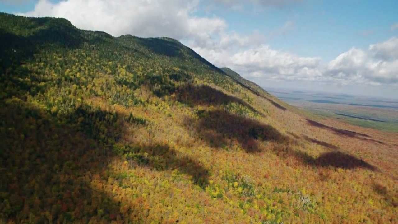 Une flore en mouvement - Parc national du Mont-Mégantic - Sépaq