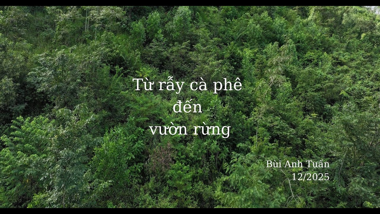 Từ Rẫy cà phê tới Vườn Rừng