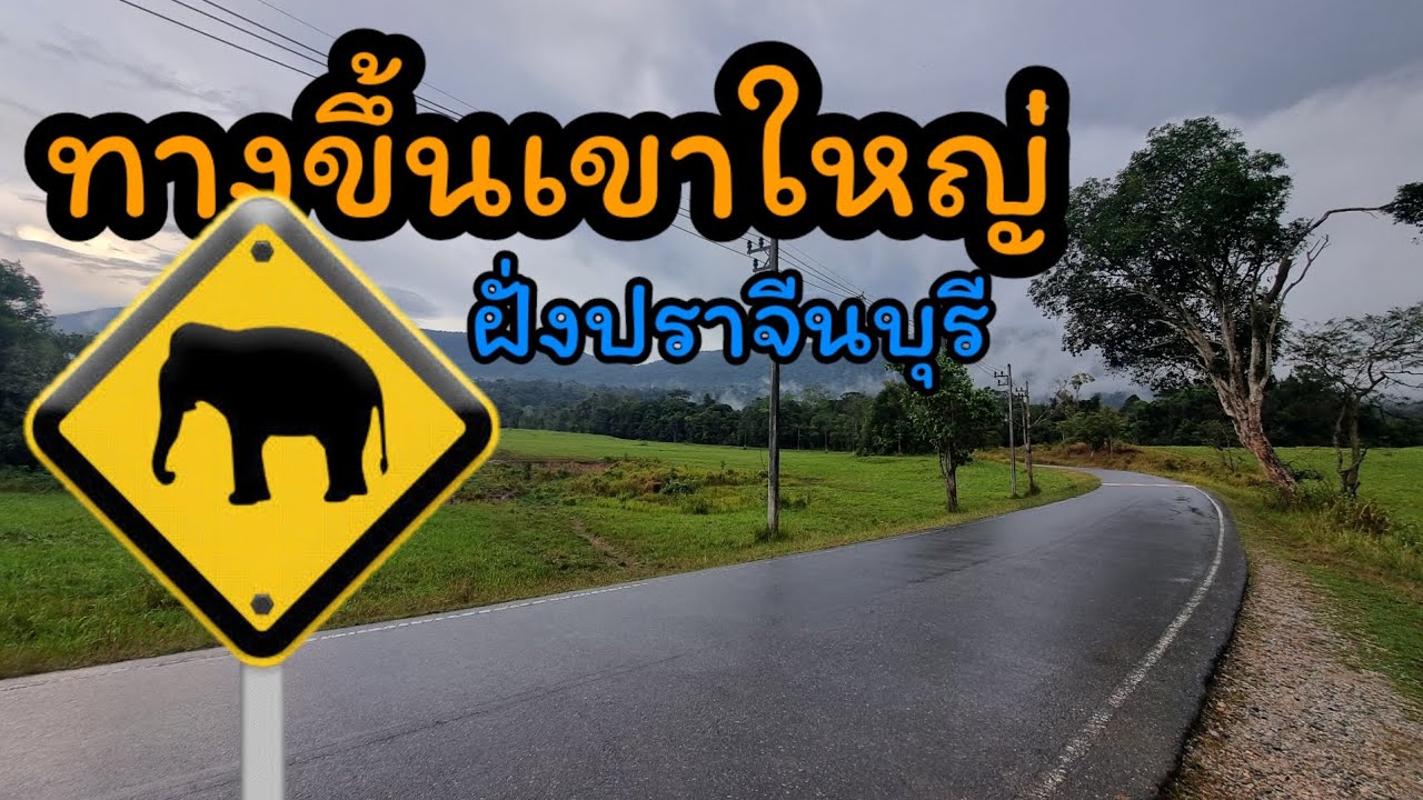 ขึ้นเขาใหญ่ฝั่งปราจีน | รีวิวเส้นทางขึ้นเขาใหญ่ | #เขาใหญ่ #อุทยานแห่งชาติเขาใหญ่ #มะปริงมะปราง