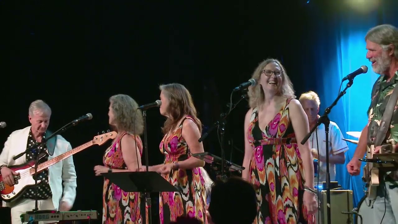 Beach Boys Tribute set 2