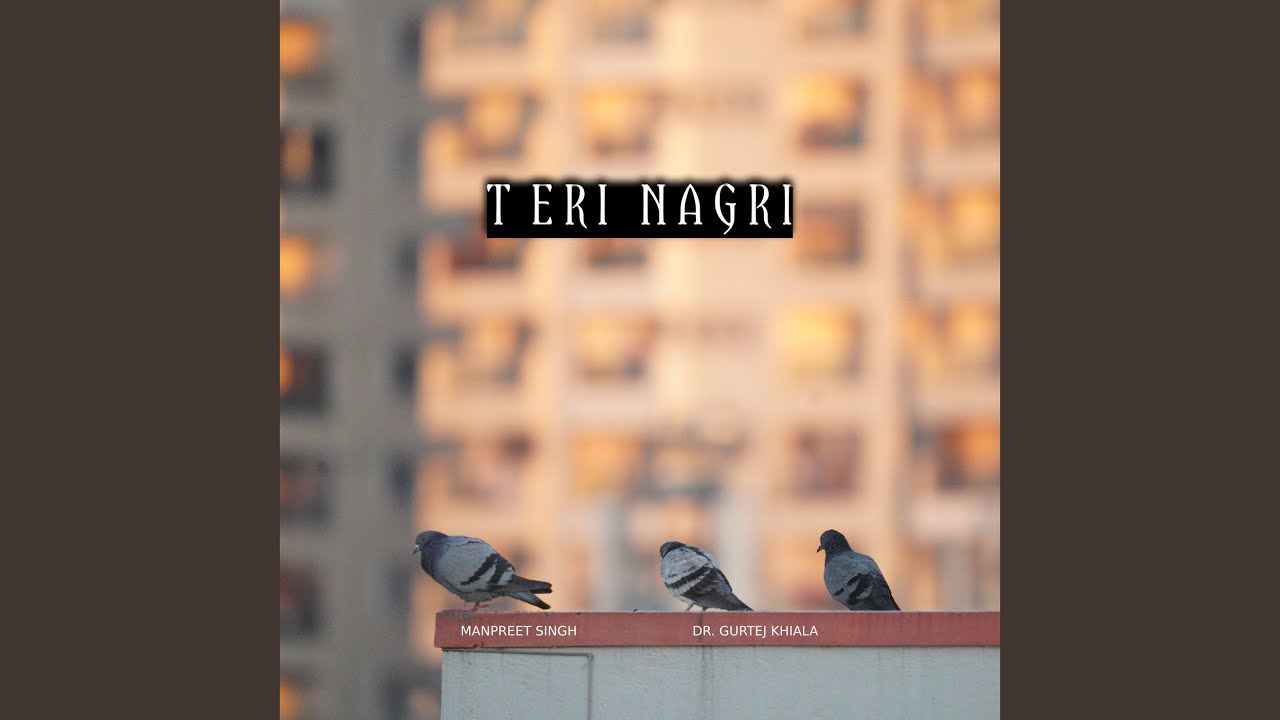 Teri Nagri